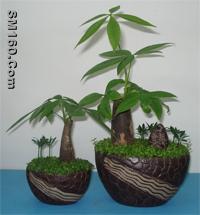 CERAMIC FLOWER POT NO.106