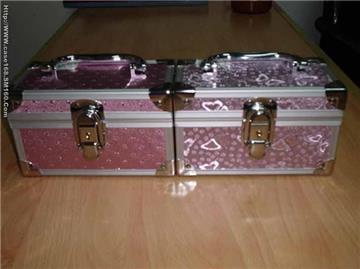 Cosmetic case