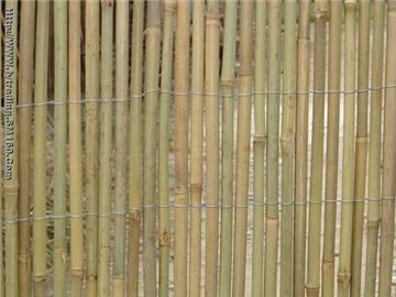 tonkin bamboo,bamboo cane,flower stick,bamboo fence,willow fence