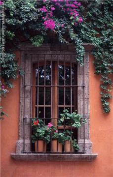 oil paintings and frames