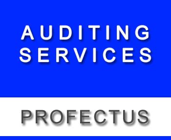 Profectus Auditing Services