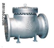 Check Valves (WZIPIE)