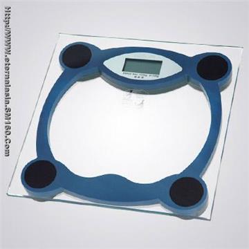 Mechanic Health scale