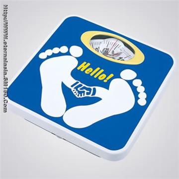 Mechanic Health scale