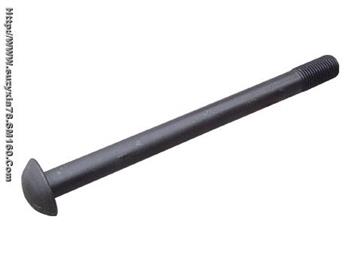 Carriage bolt