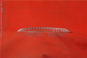 Round grill wire netting (use only once):