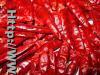 red chili .chili powder