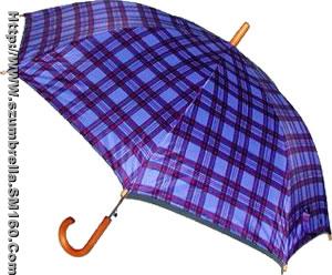 umbrella (regular umbrella)