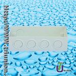 UPVC Surface Box 2 Gang