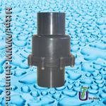 PVC Check Valve (Platform)