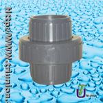 PVC Union