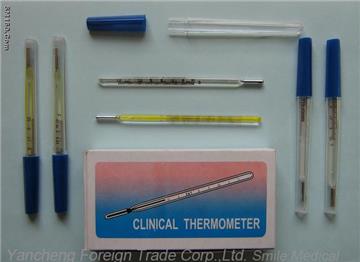 Prism Clinical Thermometers for Oral Use