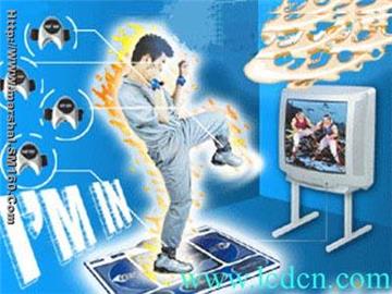 Martial Art Game Mat GM800A