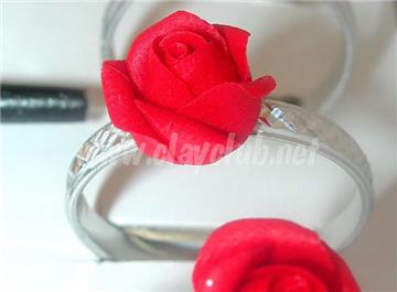 blooming rose circlet