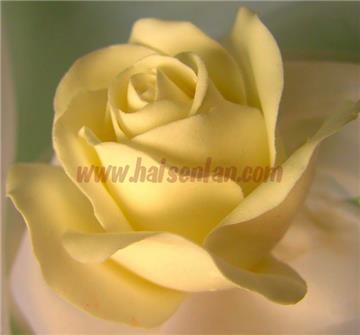soft clay yellow rose