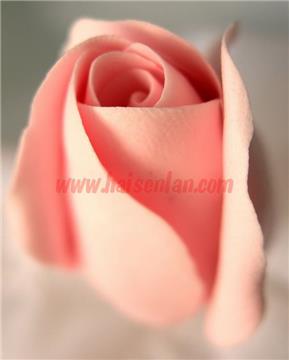 soft clay rose bud