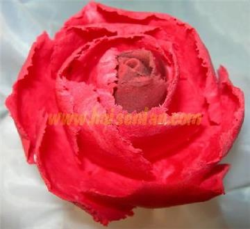 soft clay blooming rose