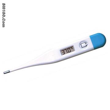  RT-01A Digital Thermometer
