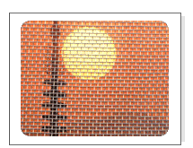 Stainless steel Insect screening