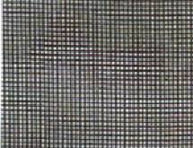 Invisible Window Screening