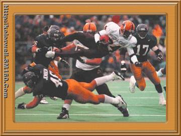 HP laser printer photo paper