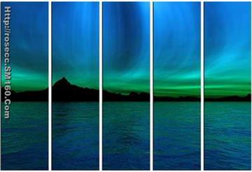 supply 100% hand painted decoration oil paintings