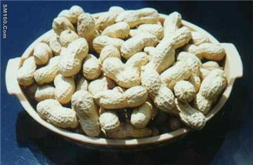 Peanuts Groundnuts 