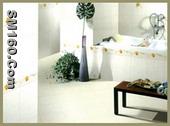 Ceramic Glazed Wall Tiles