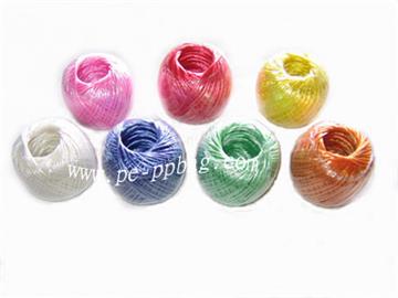 PP string