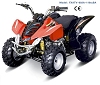 110cc(50-500cc) ATV with CE and EPA approval