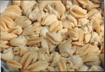 Frozen meat of White Jade Snail(II)