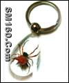 Insect amber crafts-Keychain