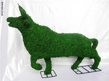 topiary frame with moss
