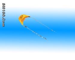 Radial leads multilayer ceramic capacitors