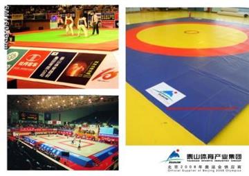 Judo mat, wrestling mat,Taekwondo mat