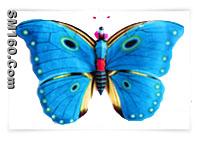 sell all kinds of kite