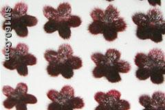 FUR FLOWERS