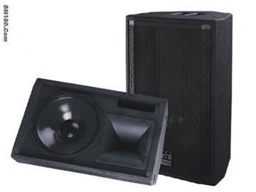 professional speaker