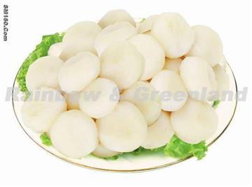 Canned Water Chestnut whole/sliced/diced