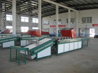 fruit and vegetable washing and packing production line