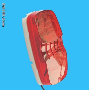 LED automotive light/side light/car light 