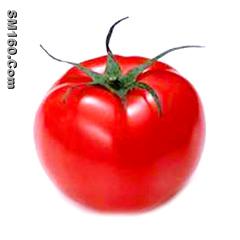 Lycopene 