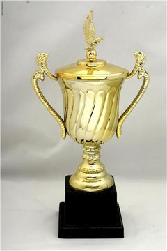 plastic trophy  cup