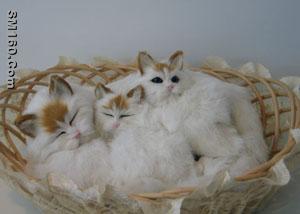 Barking dogs, miaowing cats, snoring cats and dog, breathing cats and 