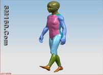 Remote Control walking robot