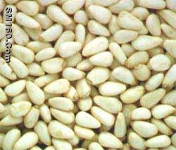 pine nut kernels