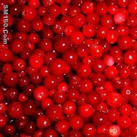  lingonberry red