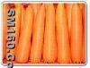 Fresh carrot