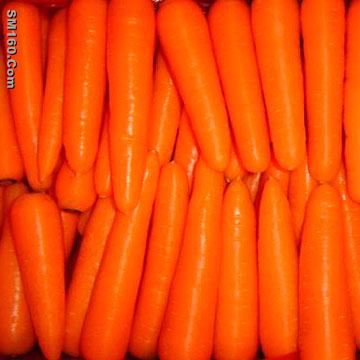 Carrot