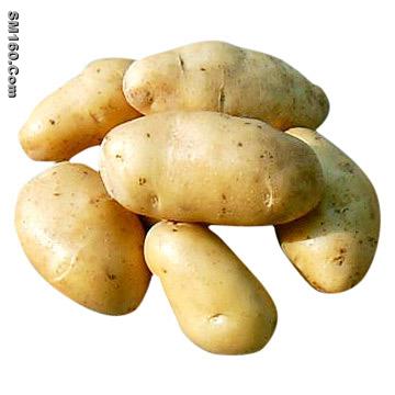 Potato